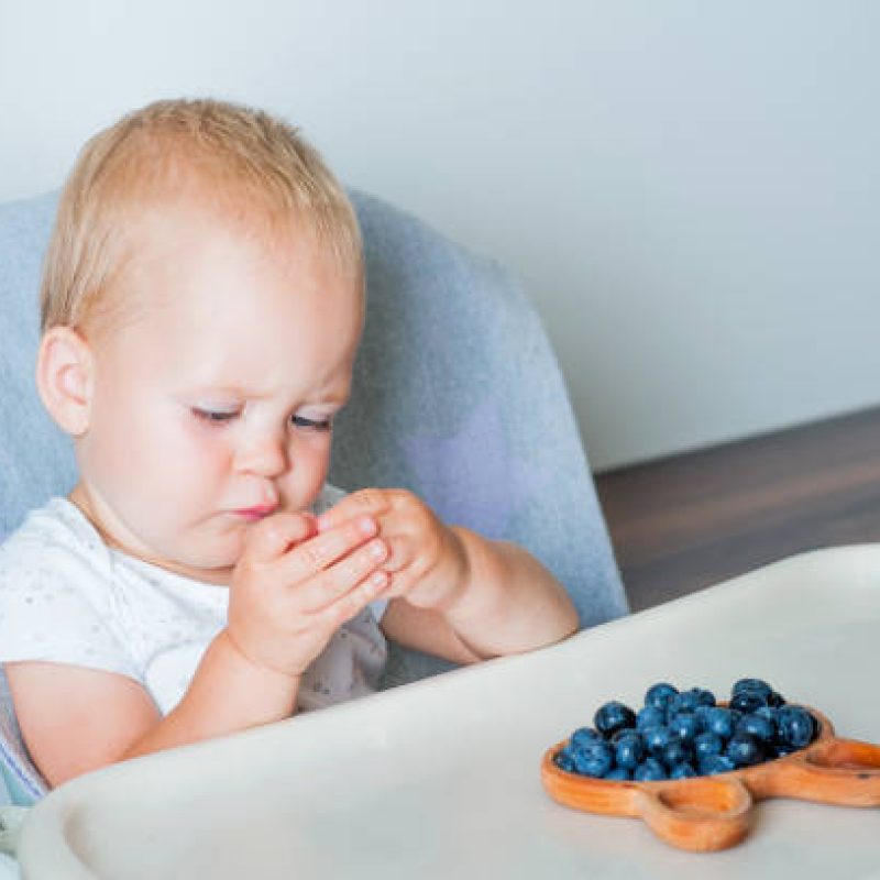 Blonde toddler boy eating Yummy blueberries wooden spoon on highchair close-up and copy space.